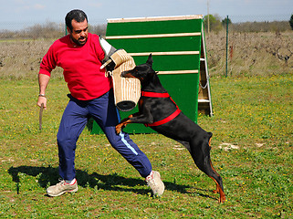 Image showing training of biting