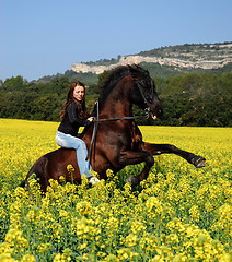 Image showing rearing horse