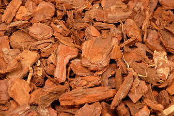 Image showing Wood Bark Chippings