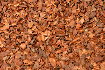 Image showing Wood Bark Chippings