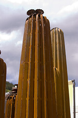 Image showing Metal Cactus with Clouds on the Background
