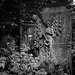 Image showing Graves