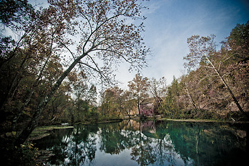 Image showing alley spring mill house