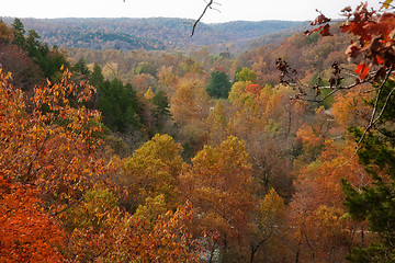 Image showing ozarks forest in fall