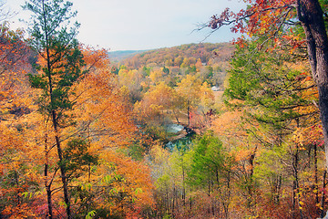 Image showing alley spring mill house in fall