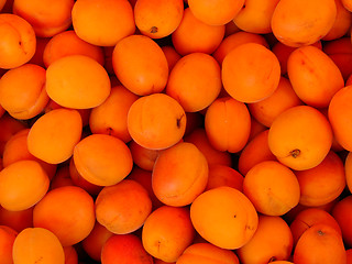 Image showing Apricots