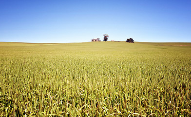 Image showing field of wheat landscape