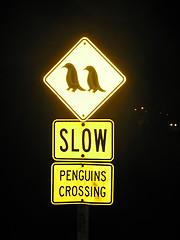 Image showing Penguins Crossing Sign, New Zealand