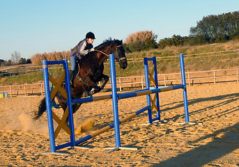 Image showing jumping horse