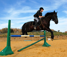 Image showing jumping horse