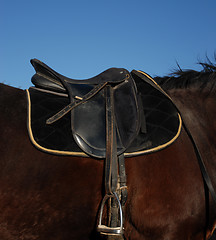 Image showing saddle
