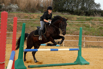 Image showing jumping horse