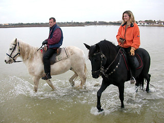 Image showing couple and  horses in the sea