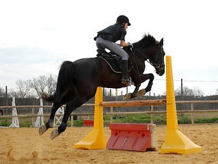 Image showing jumping horse