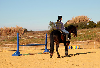 Image showing horse and woman in dressage