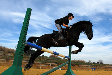 Image showing jumping horse