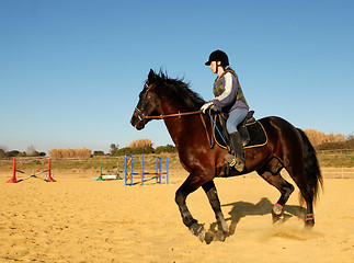 Image showing horse and woman in dressage