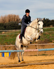 Image showing jumping horse