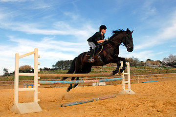 Image showing jumping horse