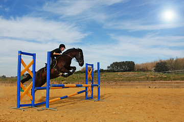 Image showing jumping horse