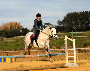 Image showing jumping horse