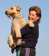 Image showing fox terrier 