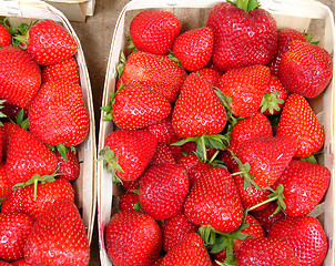 Image showing Strawberries