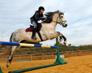 Image showing jumping horse