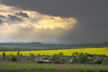 Image showing sunset over the rape field  in Ukraine