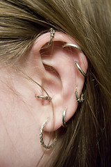 Image showing color closeup picture of  lady ear with multiple earrings