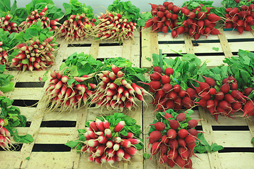 Image showing bunches of fresh radishes on a market stall
