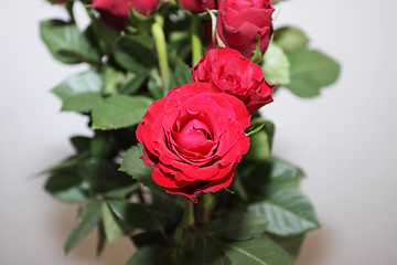 Image showing bouquet of red roses in a vase on white background