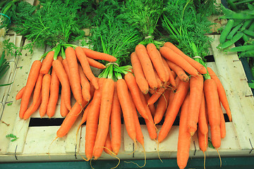Image showing bunches of fresh carrots on a market stall