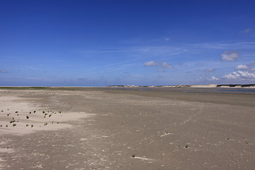 Image showing seascape and beach at low tide on the coast of opal in France