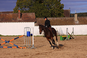 Image showing pretty young woman rider in a competition riding