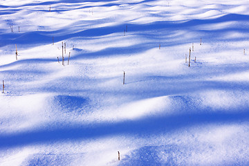 Image showing campaign under the sun and winter snow