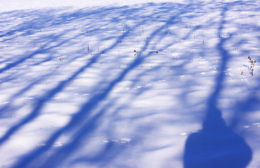 Image showing campaign under the sun and winter snow