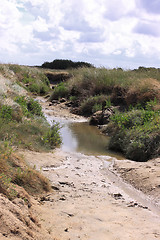 Image showing seascape and beach at low tide on the coast of opal in France