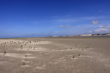 Image showing seascape and beach at low tide on the coast of opal in France