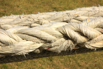 Image showing Rope for mooring a boat to a pier