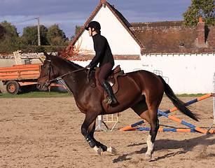 Image showing pretty young woman rider in a competition riding