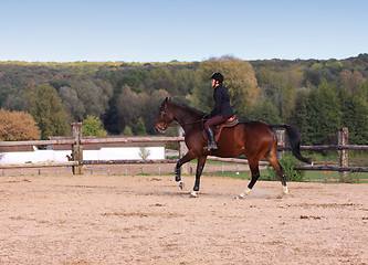 Image showing pretty young woman rider in a competition riding