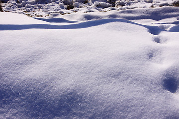 Image showing campaign under the sun and winter snow