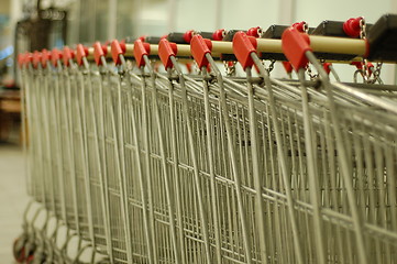 Image showing Shoppingcarts