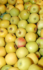 Image showing Apples