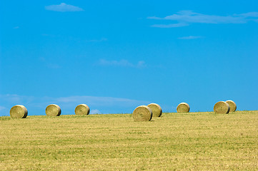 Image showing Montana landscape