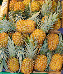 Image showing Pineapples