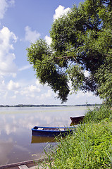 Image showing Boats anchored on coast. Willow in spring 