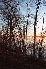 Image showing Sun, Ottawa River and Trees