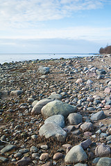 Image showing Stony coast of Baltic sea